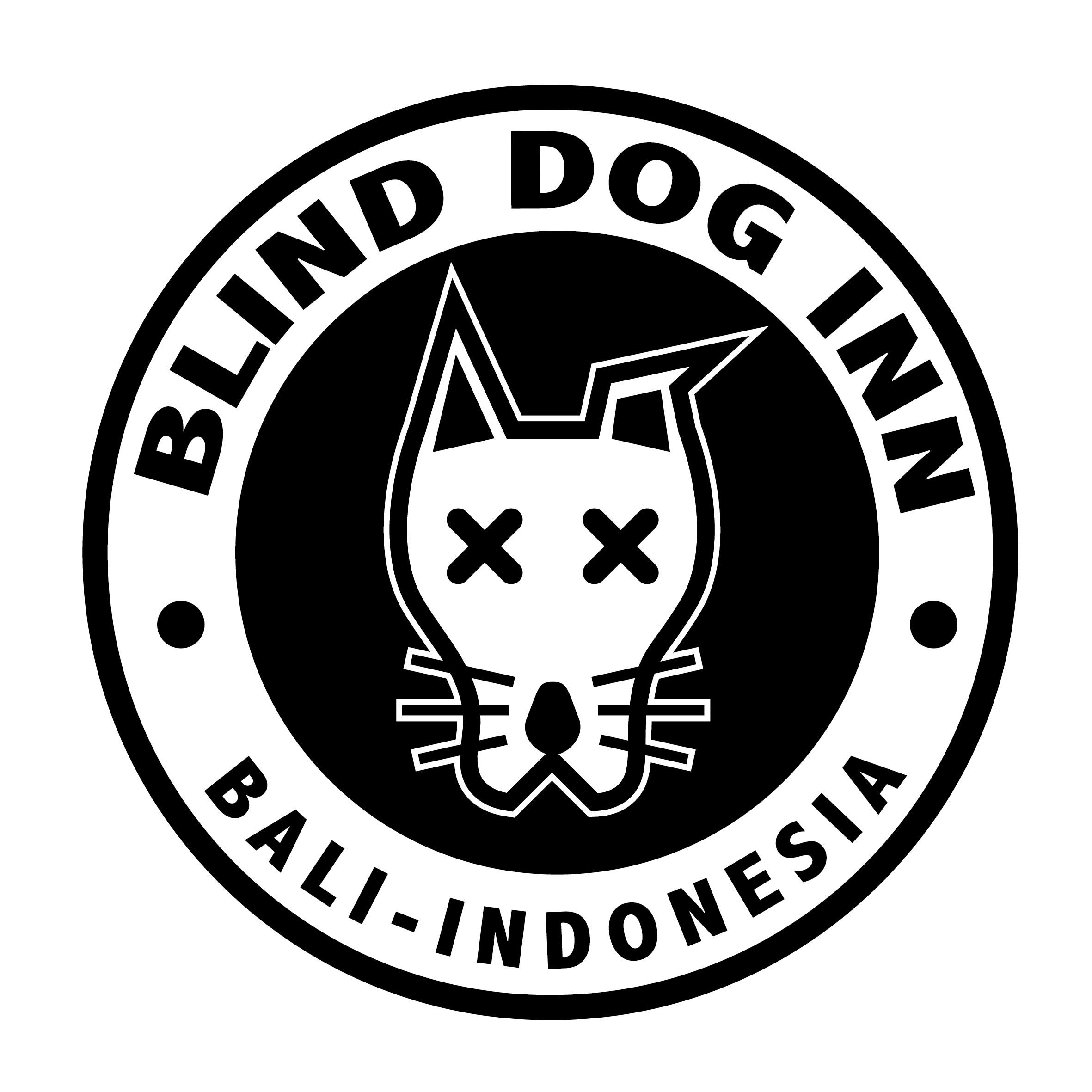 Blind Dog Inn - Surf Camp for All Levels!